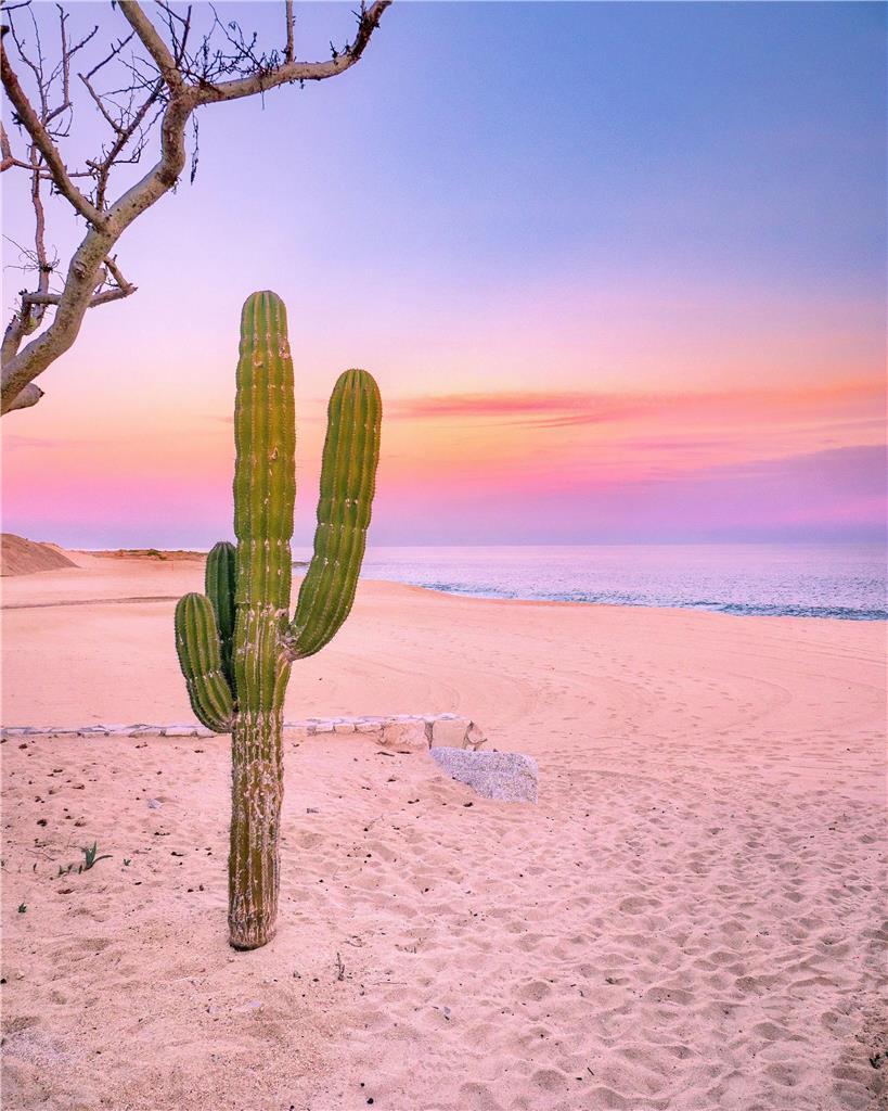 Park Hyatt Los Cabos At Cabo Del Sol Cabo San Lucas Exteriör bild